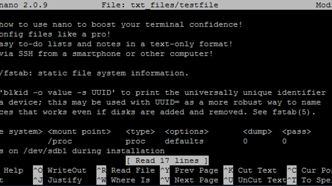Terminal text editor showing a file open
